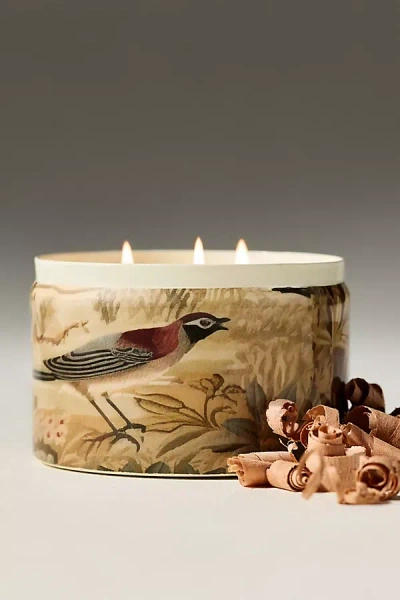 Anthropologie Francios Tapestry Woody White Pine & Cashmere Tinned Candle In Brown