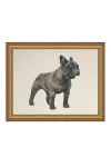 Anthropologie Frenchie Dog Wall Art