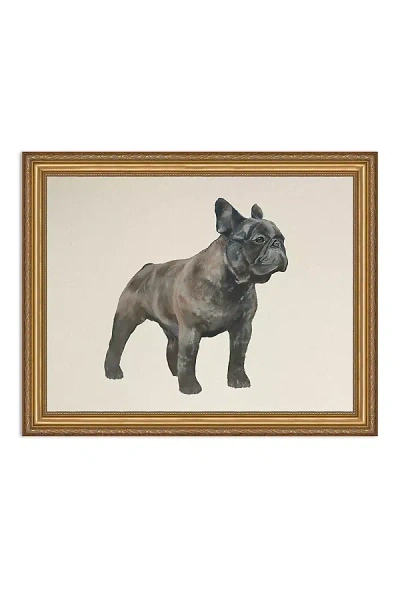 Anthropologie Frenchie Dog Wall Art In Animal Print
