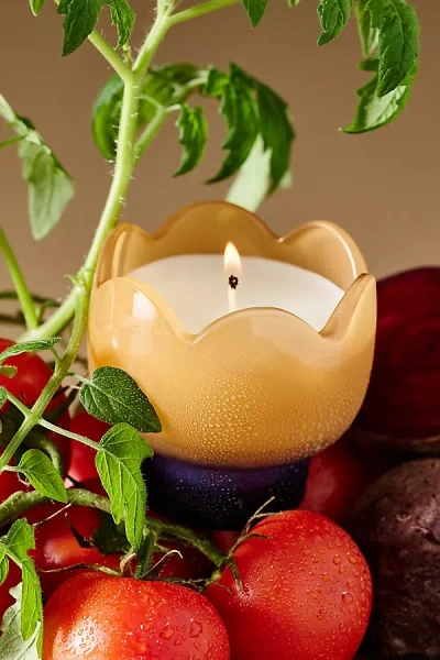 Anthropologie Fresh Garden Grove Glass Candle In Yellow
