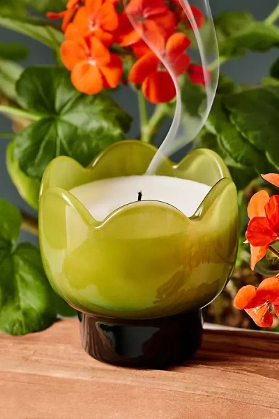 Anthropologie Fresh Verbena & Lemongrass Glass Candle In Green