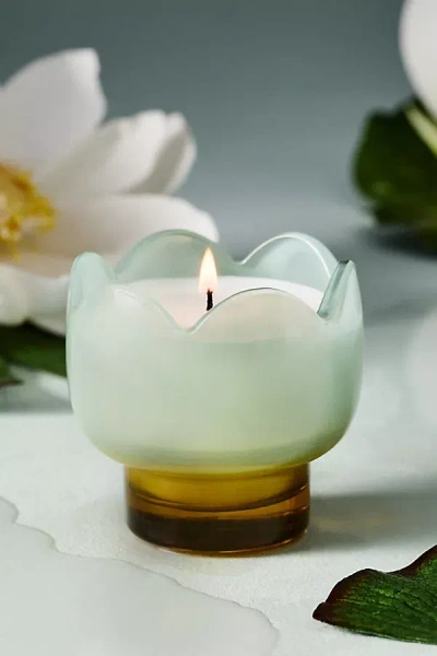 Anthropologie Fresh Wisteria & Willow Glass Candle In Green