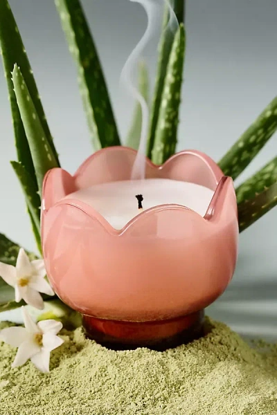 Anthropologie Fruity Cactus Flower Glass Candle In Pink