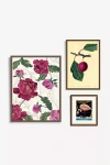 Anthropologie Fuchsia Botanicals Gallery Wall Art In Multi