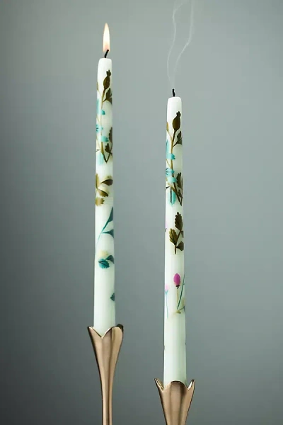 Anthropologie Gardenia Handpainted Taper Candles, Set Of 2 In Green