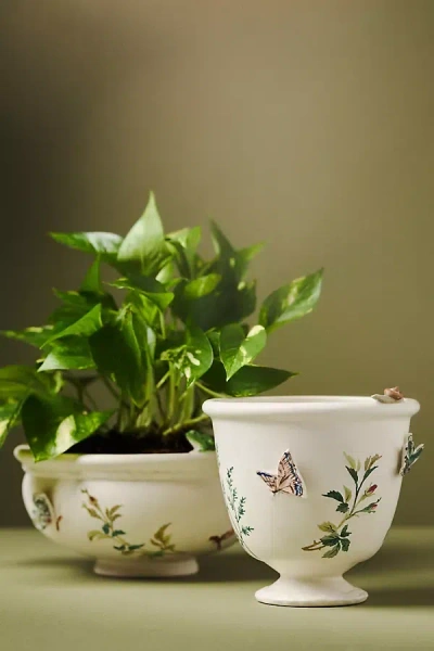 Anthropologie Gardenia Stoneware Pot In White