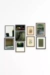 Anthropologie Green Gallery Wall Art