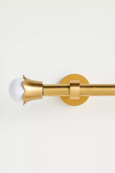 Anthropologie Greta Curtain Rod In Brown