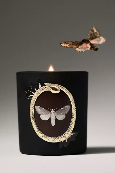 Anthropologie Halloween Moth Woody Teakwood Rose Glass Candle In Black