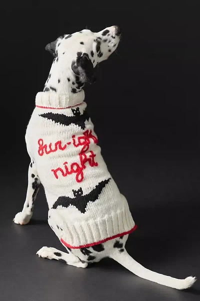 Anthropologie Halloween Phrase Pet Sweater In White