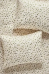 Anthropologie Hannah Cozy Cotton Shams, Set Of 2 In Neutral