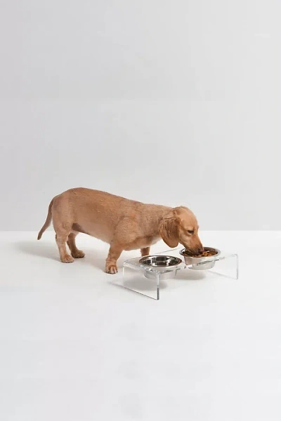 Anthropologie Hiddin Small Clear Double Bowl Pet Feeder In Brown