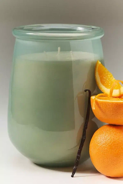 Anthropologie Honeypot Fresh Neroli & Vanilla Musk Glass Candle In Green