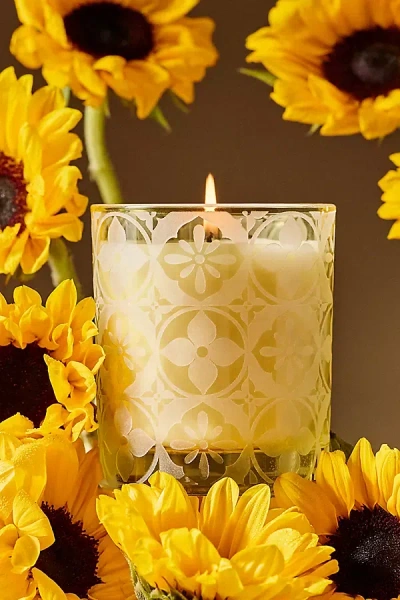 Anthropologie Hotel Bon Séjour Fresh Sunflower & Bergamot Boxed Glass Candle In Neutral