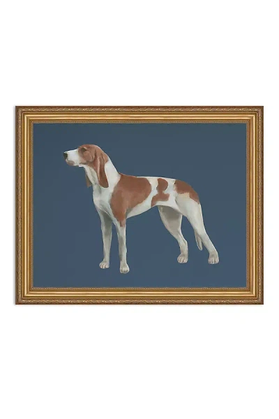 Anthropologie Hound Wall Art In Animal Print