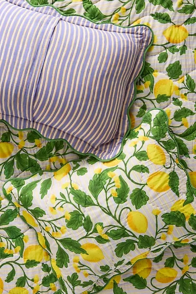 Anthropologie Iluka Shams, Set Of 2 In Multi