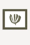 Anthropologie Ink + Petals Wall Art