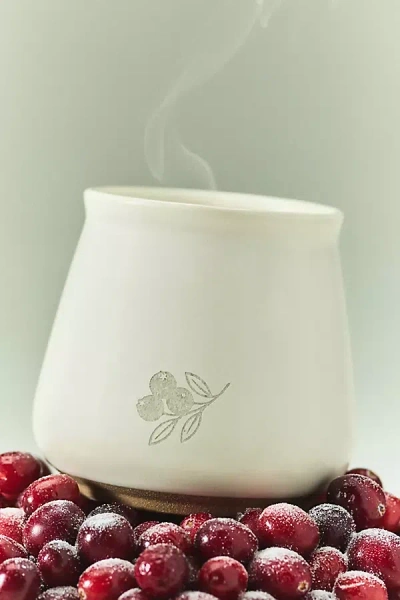 Anthropologie Jam Jar Fruity Sugared Cranberry Preserves Ceramic Candle In Neutral