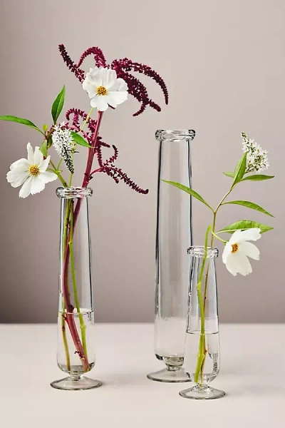 Anthropologie Julia Glass Stem Vase In Multi