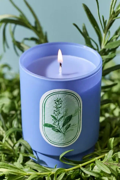 Anthropologie Juliette Fresh Arugula & Sage Boxed Glass Candle In Blue