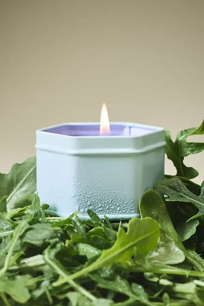 Anthropologie Juliette Fresh Arugula & Sage Tin Candle In Blue