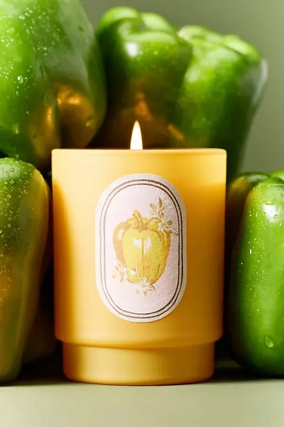 Anthropologie Juliette Fresh Wildflowers & Bell Pepper Boxed Glass Candle In Yellow