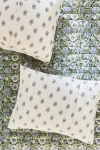 Anthropologie Khira Cotton Floral Printed Shams, Set Of 2 In Neutral