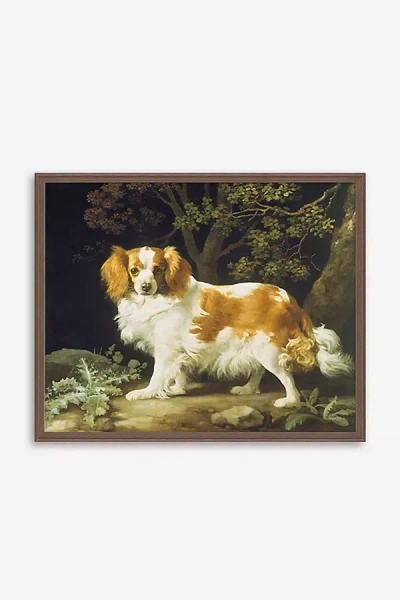 Anthropologie King Charles Spaniel By George Stubbs Wall Art In Multi