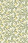 Anthropologie Kort Fruit And Floral Wallpaper