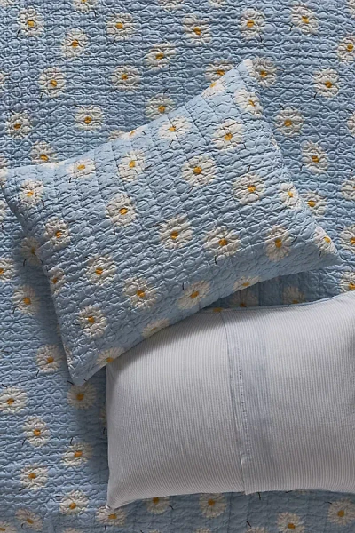 Anthropologie Lilla Cotton Shams, Set Of 2 In Blue