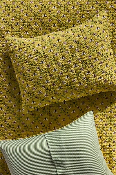 Anthropologie Lilla Cotton Shams, Set Of 2 In Yellow
