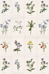 Anthropologie Liselott Floral Wallpaper By Sarah Jessica Parker In Multi