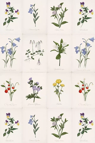 Anthropologie Liselott Floral Wallpaper By Sarah Jessica Parker In Multi