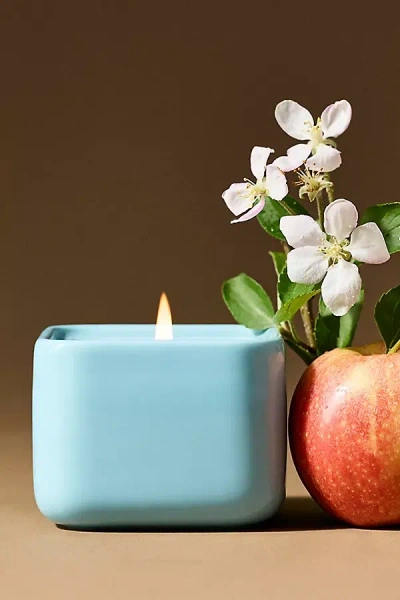 Anthropologie Lucie Cat Fruity Harvest Apple & Vanilla Ceramic Candle In Blue