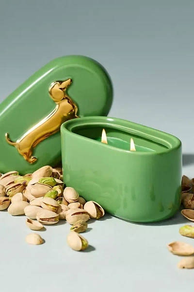 Anthropologie Lucie Dachshund Gourmand Pistachio Ceramic Candle In Green