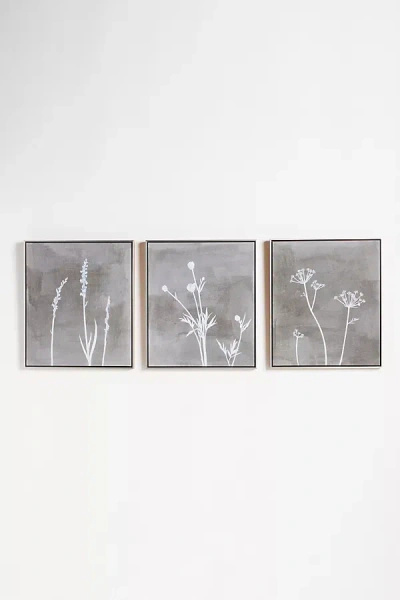 Anthropologie Lurid Wall Art In Gray