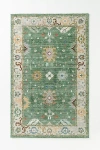 Anthropologie Madeira Tufted Persian-style Printed Rug