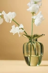 Anthropologie Margot Glass Bud Vase In Green