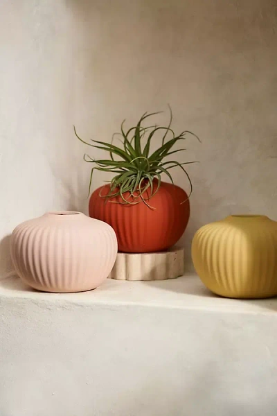 Anthropologie Matte Ceramic Bud Vase, Short
