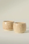 Anthropologie Old Havana Salt & Pepper Shakers In Brown