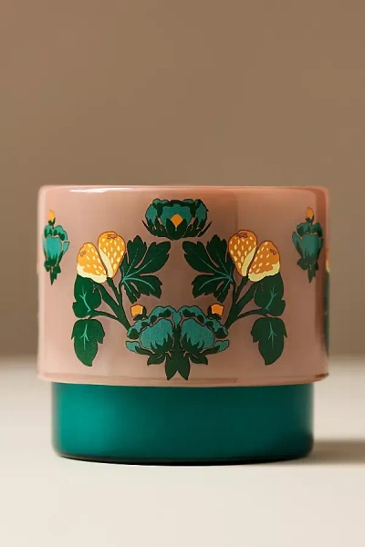 Anthropologie Olivia Woody White Cedar & Thyme Candle In Green