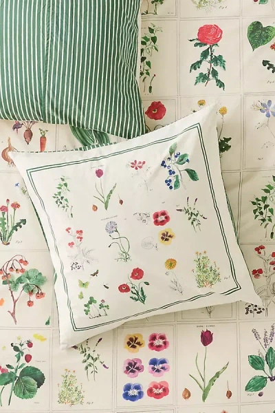 Anthropologie Organic Cotton Printed Percale Euro Sham In Green