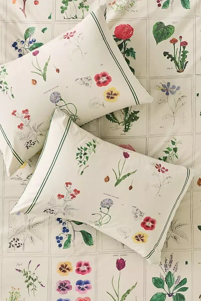 Anthropologie Organic Cotton Printed Percale Pillow Shams, Set Of 2 In Green