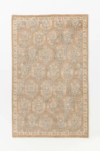 Anthropologie Paisley Hand-knotted Wool Persian-inspired Rug In Brown