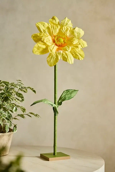 Anthropologie Paper Flower Stand, Tall In Multi