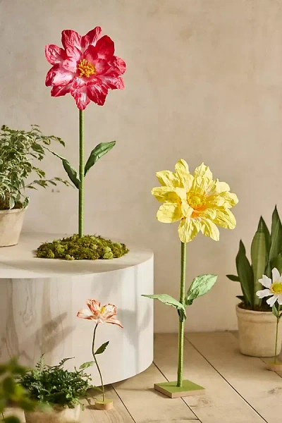 Anthropologie Paper Flower Stand, Tall In Multi