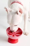 Anthropologie Peppermint Pet Bowl In Red