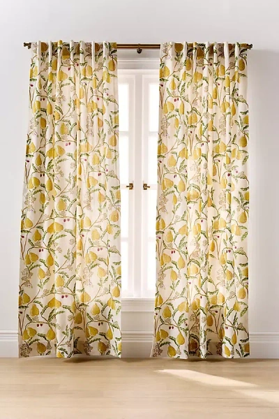 Anthropologie Pera Cotton Pear Printed Curtain In Yellow