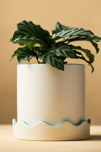 Anthropologie Pissaro Scalloped Ceramic Pot In Neutral