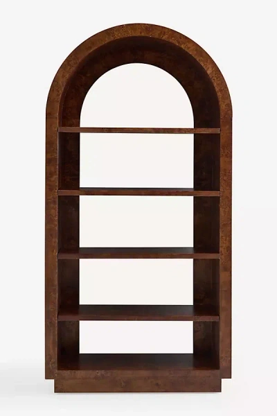 Anthropologie Prescott Burl Bookcase In Multi